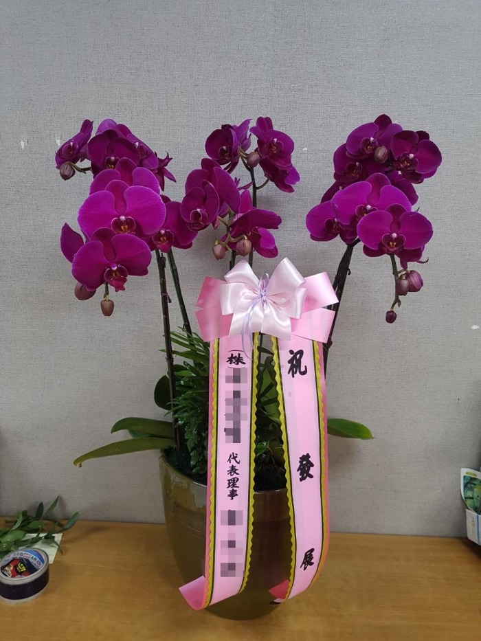 糭